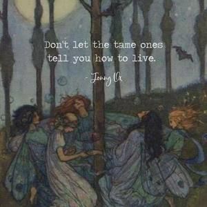 Meet your Posher, Olivia